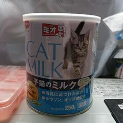 子猫ミルク