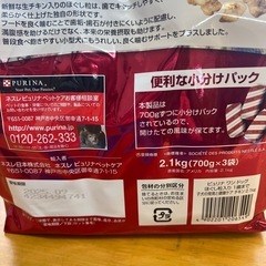 ドッグフード　子犬用
の画像