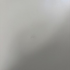丸サイドテーブル 白テーブルホワイトナチュラルの画像