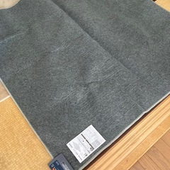 電気カーペット2畳用 ジャンク品　　の画像