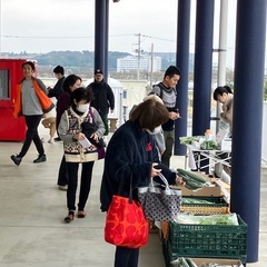 新鮮野菜販売