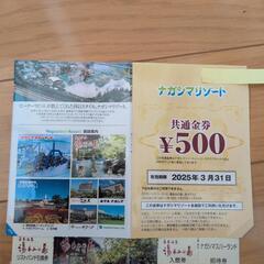 湯あみの島入館券　長島スパーランド招待券　ナガシマリゾート共通金券の画像