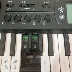 カシオ(CASIO) ミニキーボード Casiotone SA-76 の画像