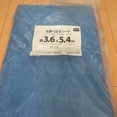 養生シート　新品　