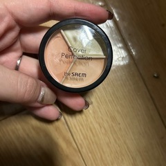 THE SAEM ザセム カバーパーフェクション トリプルファン...