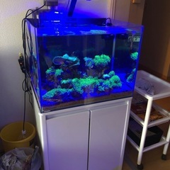 水槽一式セットの画像