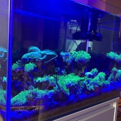 水槽一式セットの画像