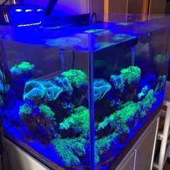 水槽一式セットの画像