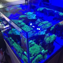 水槽一式セットの画像