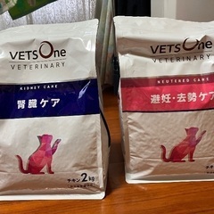 猫の餌