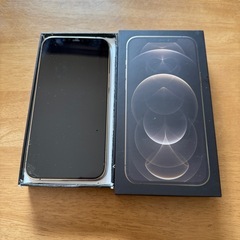 iPhone 12 Pro Max