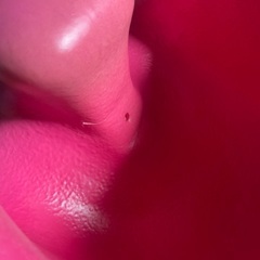 バンボの画像