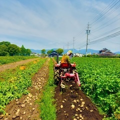 農業を楽しむ就労Bおひさま農園の画像