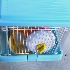 ハムスター ケージ 飼育　ペット　セットの画像