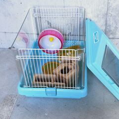 ハムスター ケージ 飼育　ペット　セット