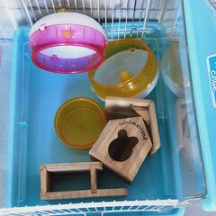 ハムスター ケージ 飼育　ペット　セットの画像