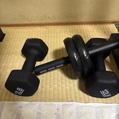 4点セット/ディップスバー、プッシュアップバー、腹筋ローラー、ダンベル5kgx2の画像