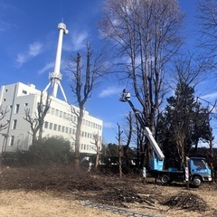 竹林 林 雑木林 空き家の木の伐採抜根致します。所沢市狭山市入間市日高市〜 − 埼玉県
