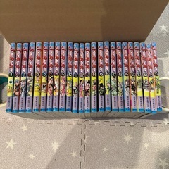 ジョジョの奇妙な冒険　　スティーブボールラン全巻