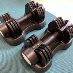 可変式ダンベルの画像
