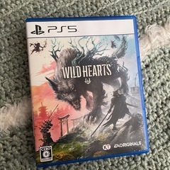 ワイルドハーツ WILD HEARTS 美品 ソフト