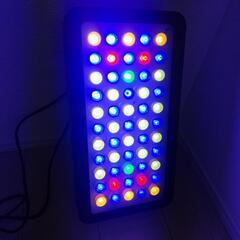 ブラックボックス