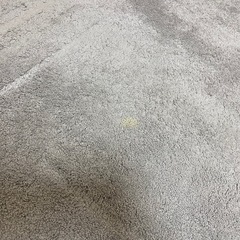 ニトリ　アクセントラグ　Nウィンザ　グレーの画像