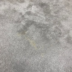 ニトリ　アクセントラグ　Nウィンザ　グレーの画像