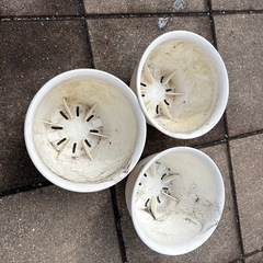 植木鉢　15cmほど