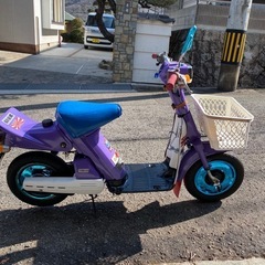 ヤマハパッソル　ナメンなよカラー　ソク乗り車の画像