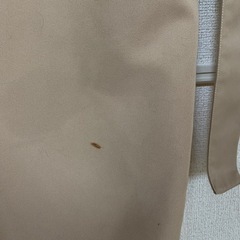 【earth】トレンチコートの画像