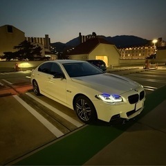 BMW 523d G30 後期仕様　ディーゼル　中期　EGRモジ...