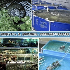 [新品未使用品] 水槽エアレーションの画像