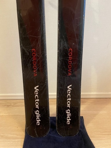 VECTOR GLIDE オンライン