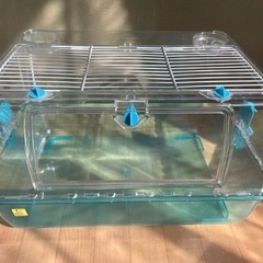 
ルーミィ（ハムスター飼育キッド ）の画像