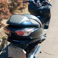 フォルツァZ　MF08後期　ノーマル車　走行28900km　(No.2338)の画像