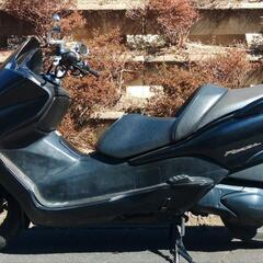 フォルツァZ　MF08後期　ノーマル車　走行28900km　(No.2338)の画像
