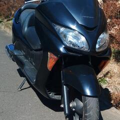 フォルツァZ　MF08後期　ノーマル車　走行28900km　(No.2338)の画像