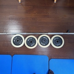 バーベルとプレートのセット【合計29kg】ワイルドフィット