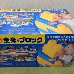 全身でブロックの画像