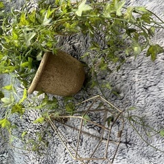 小物　セットの画像