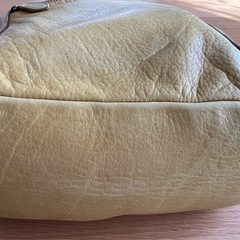 Dakotaの黄色系バックの画像