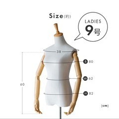 マネキン、トルソーの画像