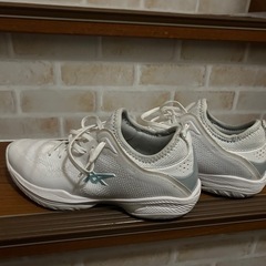 バッシュの画像