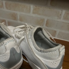 バッシュの画像