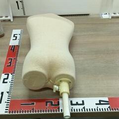 0223-070 トルソーの画像
