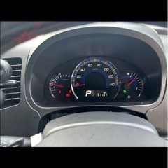 スティングレーの画像