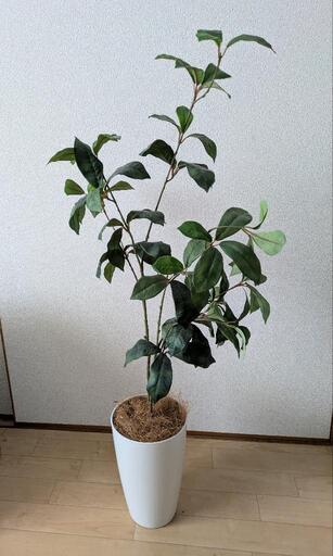 決まりました 造花 フェイクグリーン  観葉植物 光触媒
