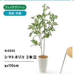【お譲り先
決まりました】フェイクツリーの画像