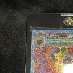 ブラッキーSAR
の画像